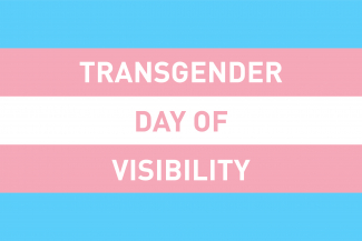 Transgender Day of Visability Image - Flag Colours